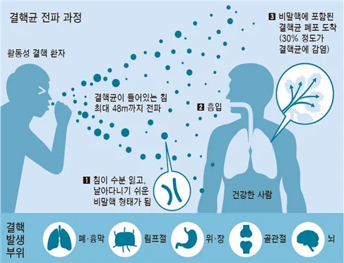 관련 이미지
