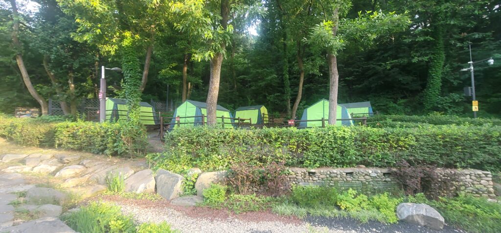 Camping site next to the forest