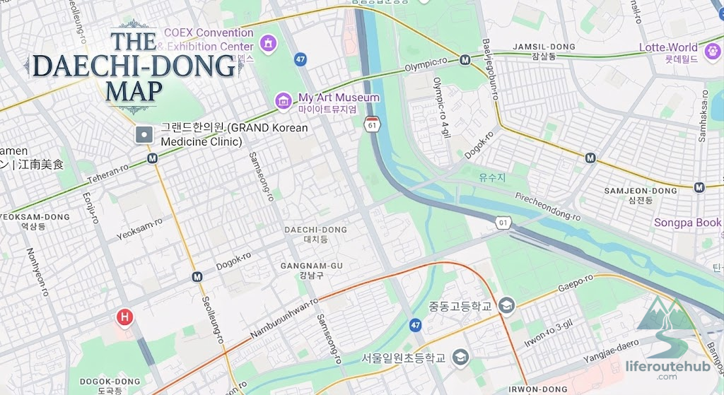 Daechi-dong education district